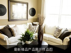 产品演示样品图片