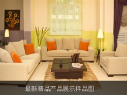 产品演示样品图片